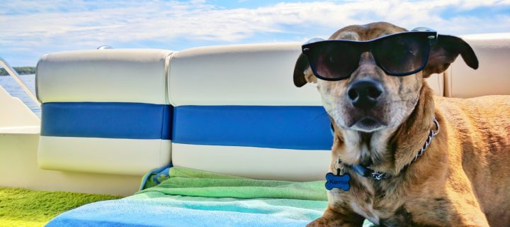 Tips to Help You Beat the Summer Heat
