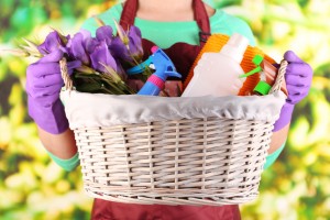 green spring cleaning tips