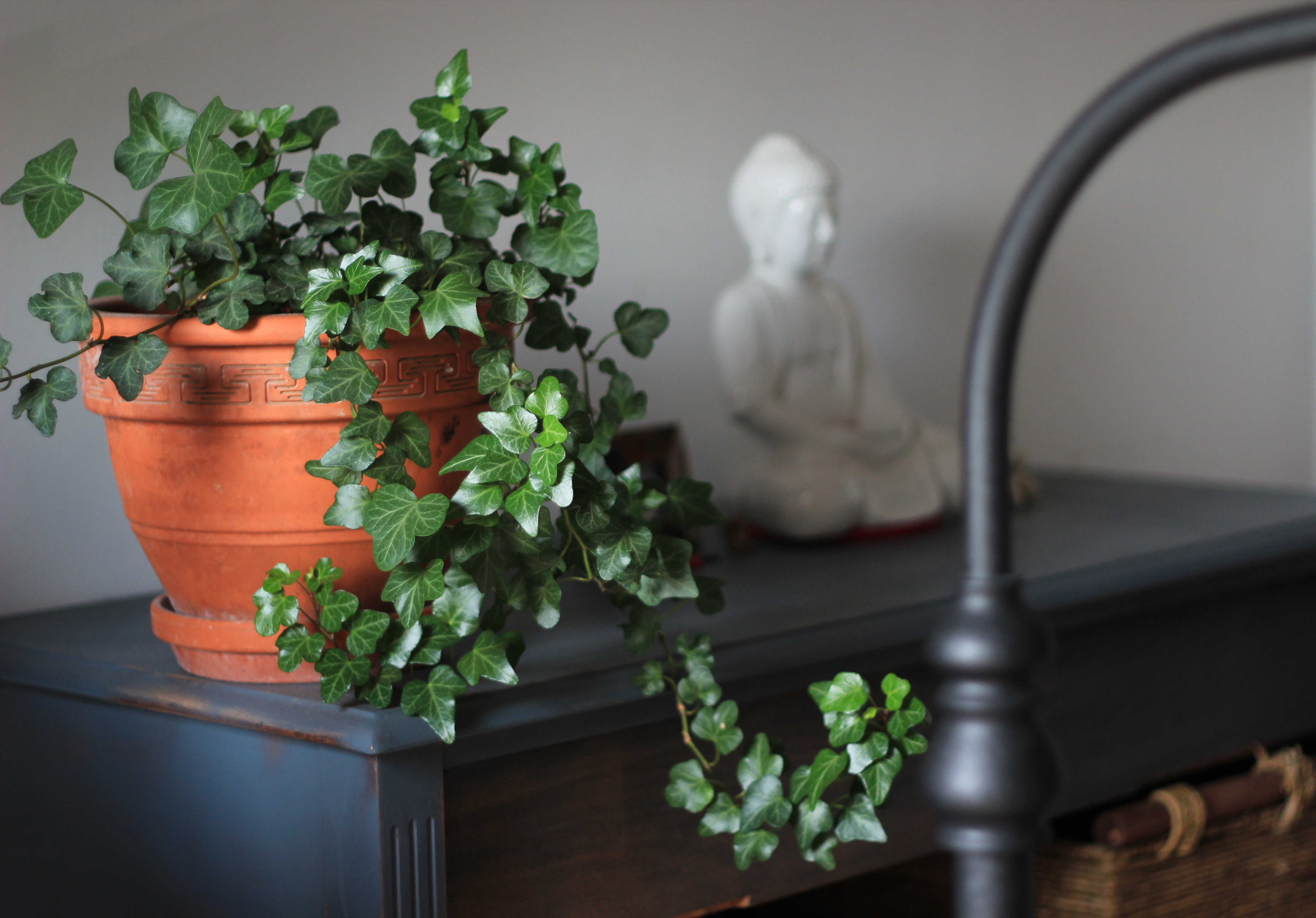 Breathe Easy: Improving Indoor Air Quality With Decor And Plants